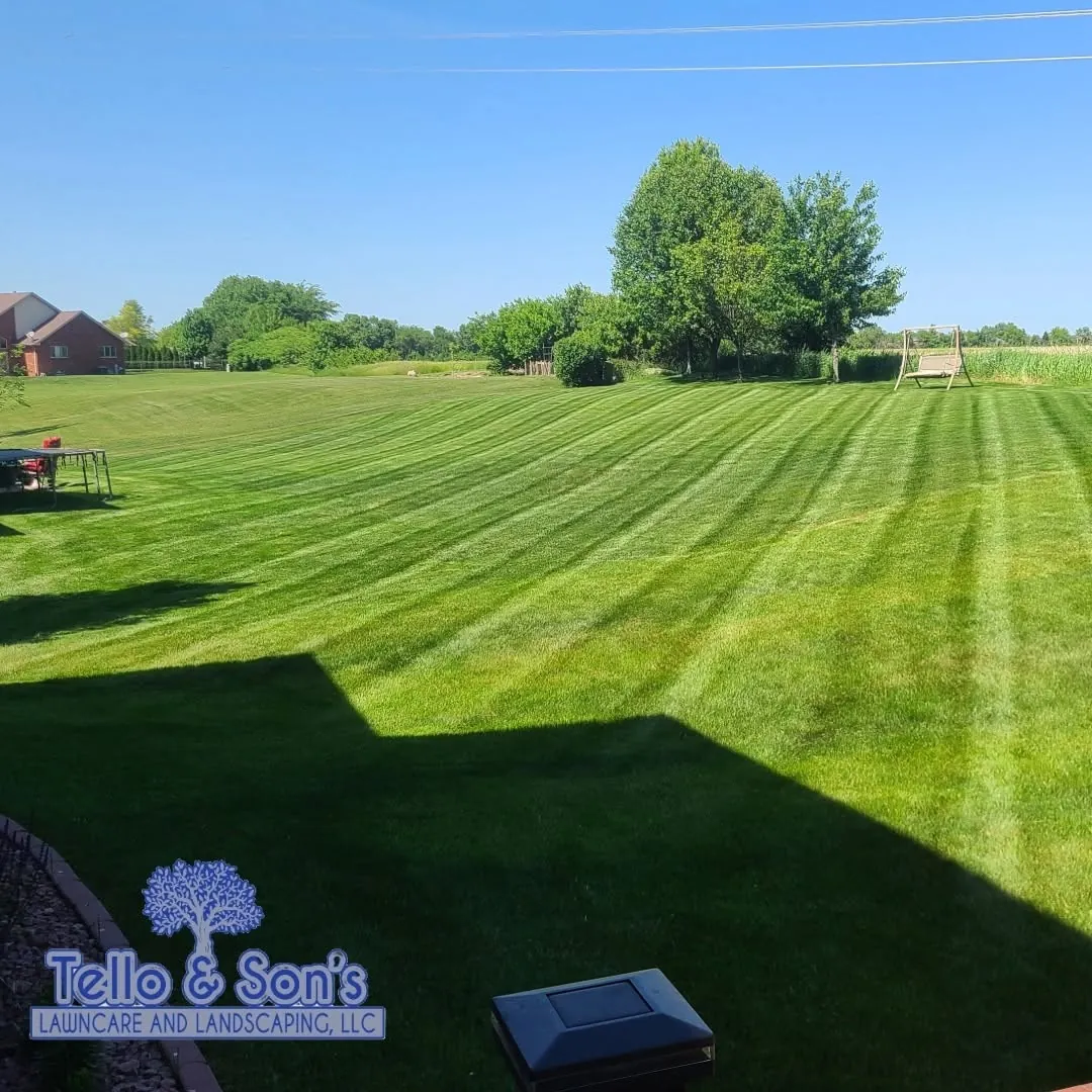 Wide freshly striped green lawn with trees and blue sky, maintained by Tello & Son's in Mokena, IL