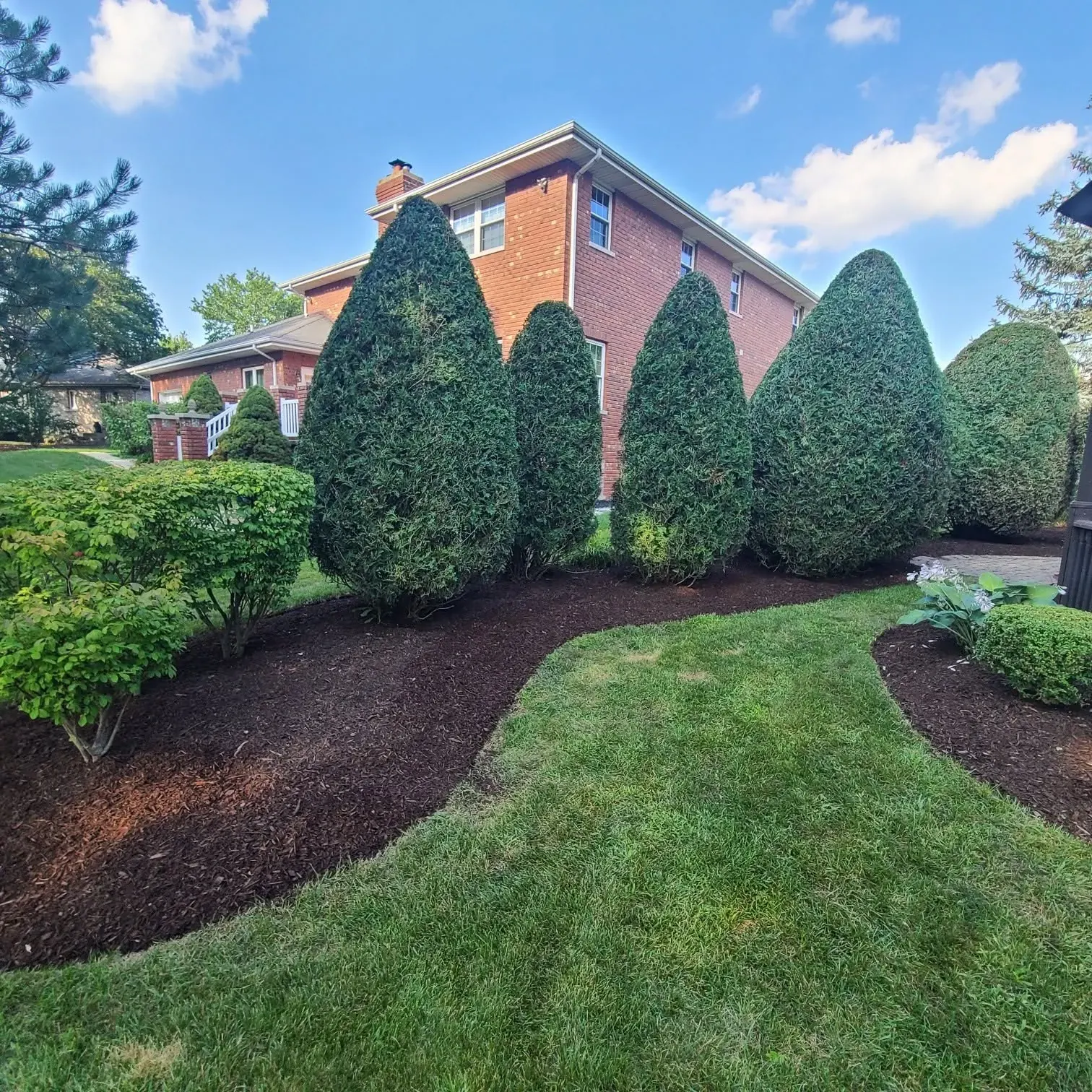 Manicured front lawn with tidy mulch beds and shaped shrubs in the Chicago South Suburbs